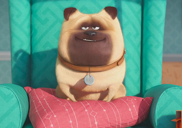 Illumination Unveils First Look at 'The Secret Life of Pets'