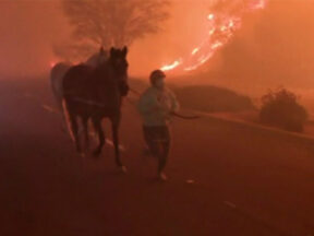 Los Angeles 2025 fire