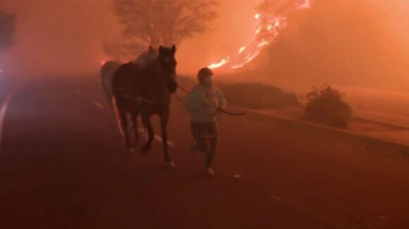 Los Angeles 2025 fire