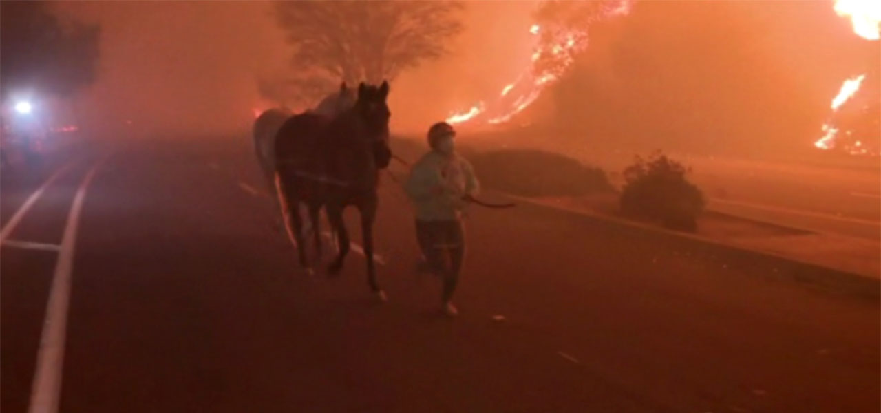 Los Angeles 2025 fire